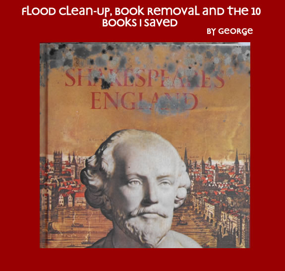 Flood Clean-up, Book Removal and the 10 Books I Saved